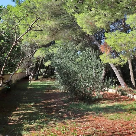 House Casa Nostra Holiday home Bibinje