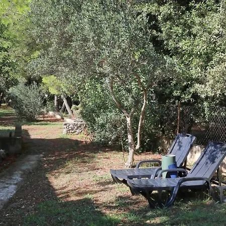 House Casa Nostra ביבינייה